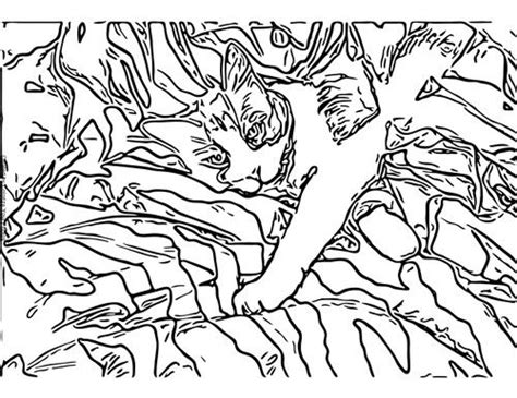 Animal Camouflage Coloring Page Sketch Coloring Page | Animal coloring ...