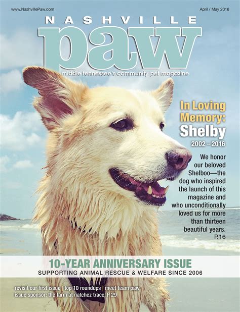 10 Year Anniversary Issue Support Animal Animal Rescue 10 Year