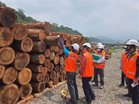 林業及自然保育署嘉義分署國有林地再新增森林驗證林產品 國內唯一可提供經fsctm驗證之竹材機關 蕃新聞