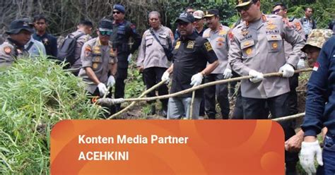 30 Ribu Batang Ganja Di Aceh Besar Dimusnahkan Dengan Cara Dibakar