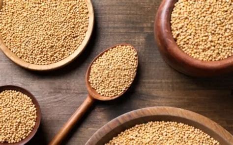 Tasty Tweaks 5 BEST Substitutes For Whole Grain Mustard