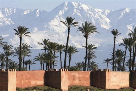 Villa Yasmina Piscine Tennis Dans La Palmeraie Marrakesh Morocco