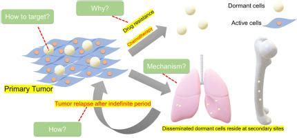 Journal Of Drug Delivery Science And