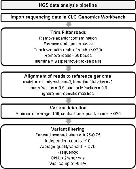 Next Generation Sequencing Data Analysis Pipeline Schematic Download Scientific Diagram