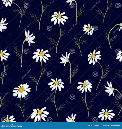 Field Daisies Seamless Pattern On Dark Background Vector