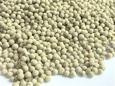 Organic Gram White Pepper Corns White Spice Vacuum Packed