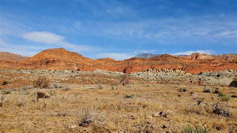 Red Cliffs National Conservation Area – Sabbycat