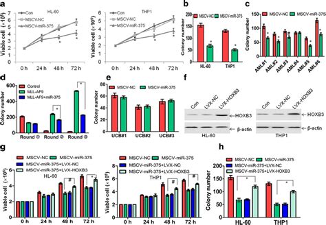 Ectopic Expression Of Mir 375 Inhibits Cell Growth And Reduces Colony