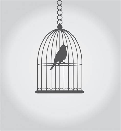 Bird Cage Stock Vector by ©lilac-design 83091668