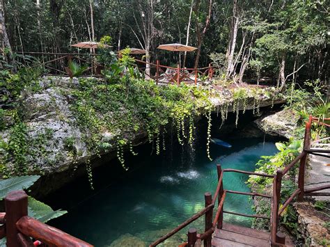 Cenotes Adventures With Ziplines Snacks Tequila Tasting Cancun