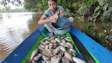 Rejeki Dapat Bermacam Macam Jenis Ikan Sungai Youtube