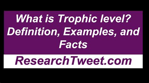 What Is Trophic Level Definition Examples And Facts Youtube