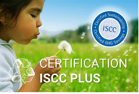 Iscc Plus Certification A Hatzopoulos S A