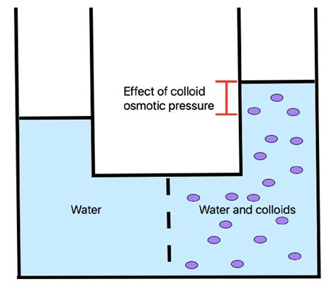 File:Colloid Osmotic Pressure.png - Wikimedia Commons