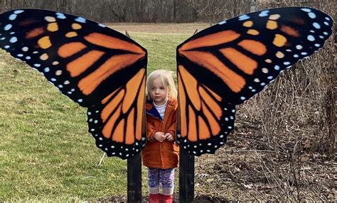 Visit Hocking Hills Butterfly Trail, Where Fun and Learning Never Stop • CompassOhio