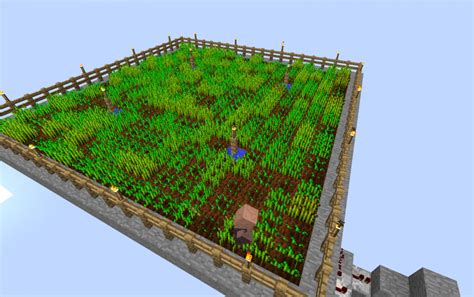 Minecraft Wheat Farm Layout