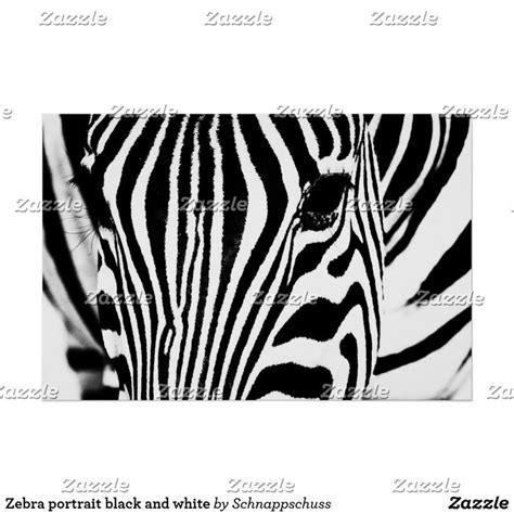 Zebra portrait black and white poster | Zazzle