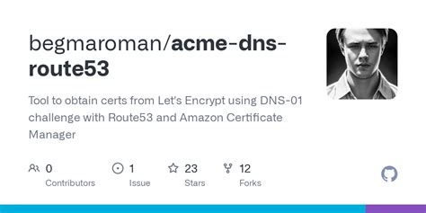 Github Begmaroman Acme Dns Route Tool To Obtain Certs From Let S