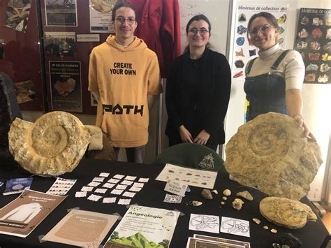 Angers Le Salon Des Min Raux Et Fossiles D Voile Des Trouvailles D