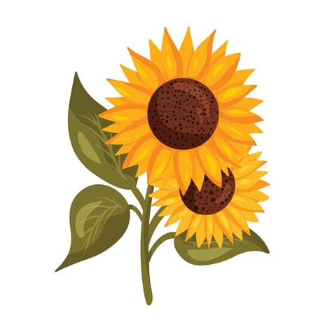 Sunflowers On Stem With Leaves Vector Art At Vecteezy