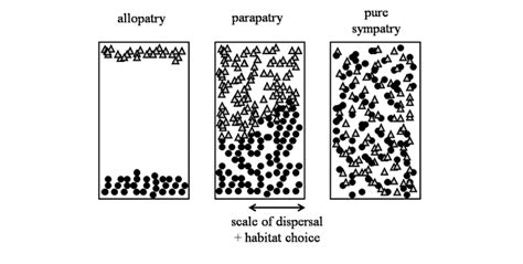 Speciation The Origin Of New Species Concept Map How Do New Species