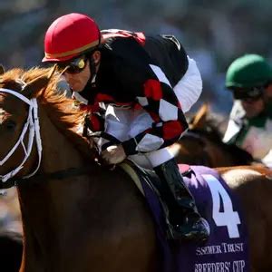 tj dominguez net worth