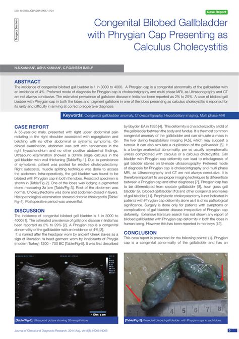 Pdf Congenital Bilobed Gallbladder With Phrygian Cap Presenting As