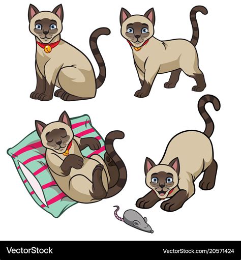 Cute Siamese Cat Set Royalty Free Vector Image