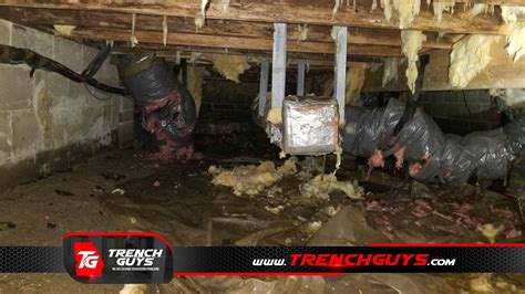 The Benefits Of Crawl Space Cleaning Services In Macon GA