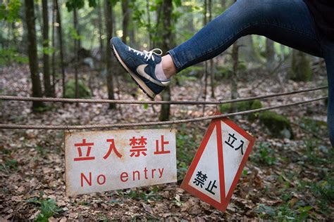 El Bosque De Los Suicidios Fotos Web De Cine Fant Stico Terror Y