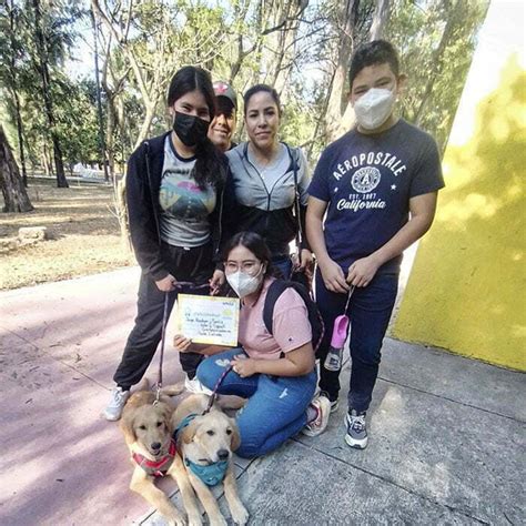 Curso Para Cachorros Perrinos