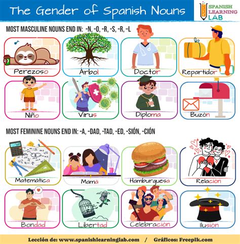 The Rules For The Gender Of Nouns In Spanish Spanish Learning Lab