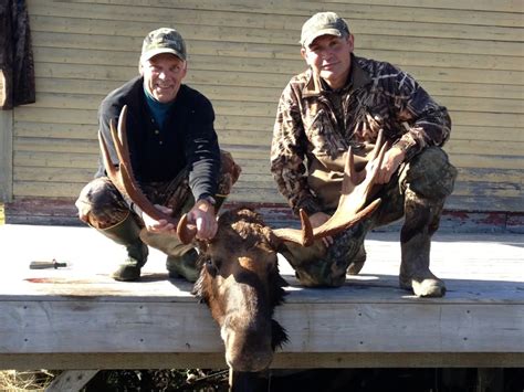 Moose Gallery Caribou Cove Outfitters Big Game Hunting In