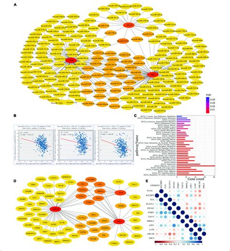 Microrna Mirna And Rna Binding Proteins Rbps Networks Of 3 Key