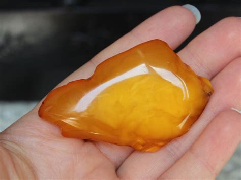 13gr Butterscotch Egg Yolk Natural Amber Brooch Etsy Natural Amber