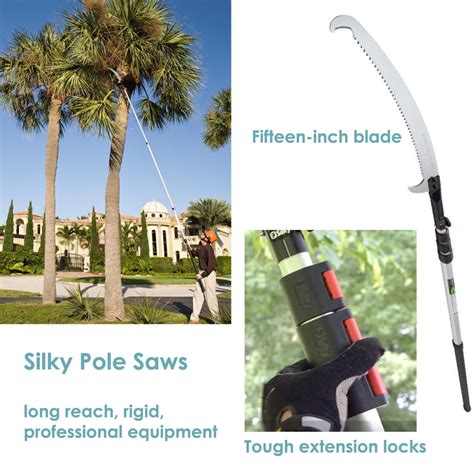 The 10 Best Manual Pole Pruners And Loppers For Tree Trimming Dengarden