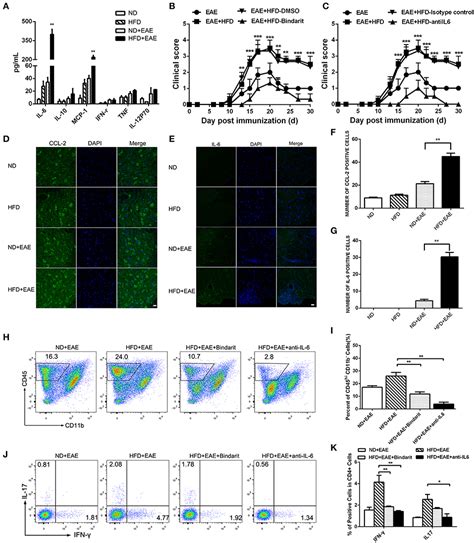 Frontiers Obesity Promotes EAE Through IL 6 And CCL 2 Mediated T