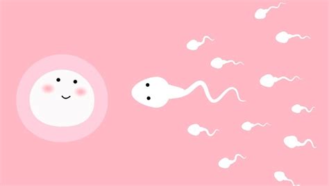 This Is How Long Sperm Can Last In Your Vagina HealthShots