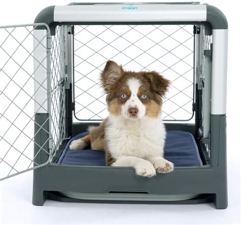 The 7 Best Dog Travel Crates for 2023, Tested and Reviewed