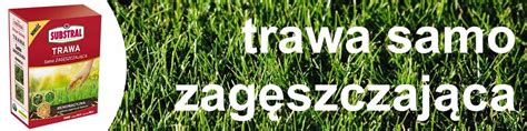 Substral Trawa Samo Zag Szczaj Ca Renowacyjna Kg Drobiazg W