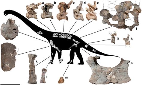 Equatorial Minnesota Your Friends The Titanosaurs Part 28