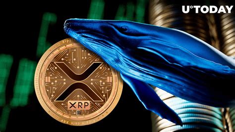 Xrp 鲸鱼继续大规模囤积，价格即将复苏？ 0x资讯