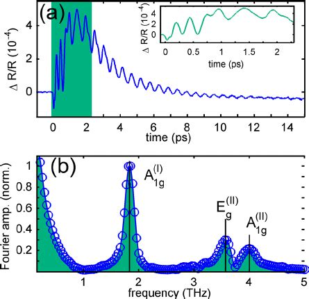 A Pump Induced Change In Reflectivity In Bi Te Showing Coherent