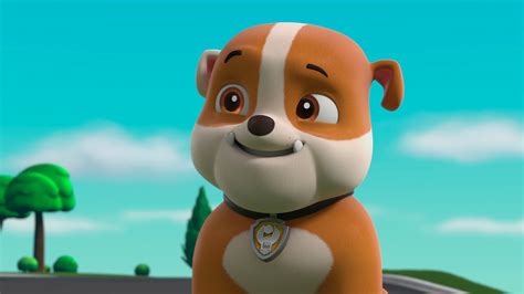 Mira PAW Patrol Patrulla De Cachorros Temporada 8 Episodio 23 PAW