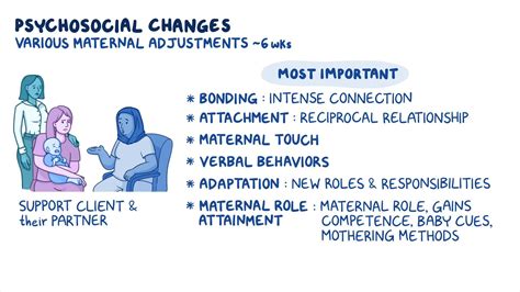 Physiologic Changes Postpartum Nursing Osmosis Video Off