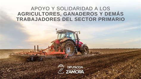 La Diputación Provincial De Zamora Muestra Su Apoyo Y Solidaridad A