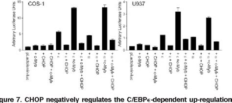 Figure 7 From Retinoic Acid Regulates C Ebp Homologous Protein