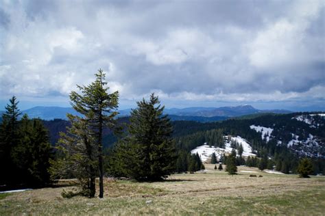 Feldbergsteig Tageswanderung Der höchste Gipfel im Schwarzwald