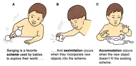 Assimilation - EnkiVillage