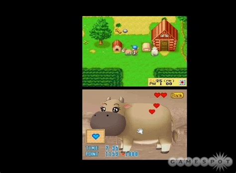 Harvest Moon Ds Review Gamespot